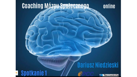 Coaching Mózgu Społecznego